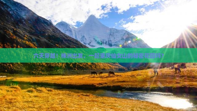 六天穿越！株洲出发，一起重庆仙女山的秘密花园吗？