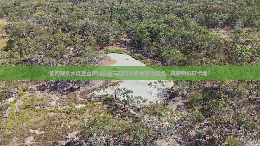 如何规划大连至重庆仙女山三日游以避免旅行痛点，玩转网红打卡地？