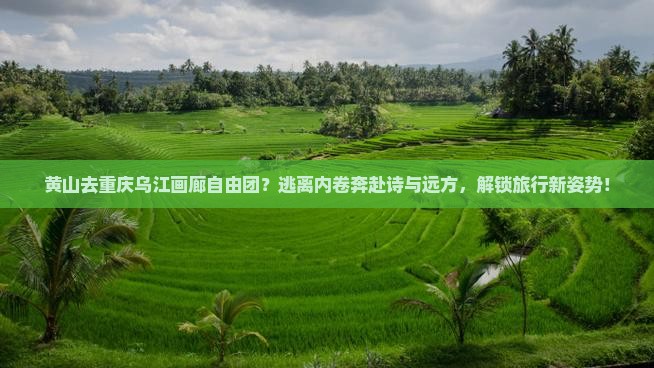 黄山去重庆乌江画廊自由团？逃离内卷奔赴诗与远方，解锁旅行新姿势！