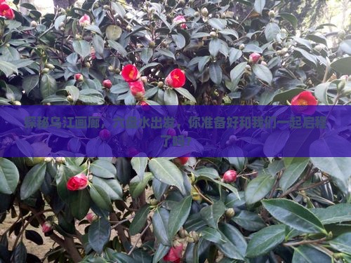 探秘乌江画廊，六盘水出发，你准备好和我们一起启程了吗？