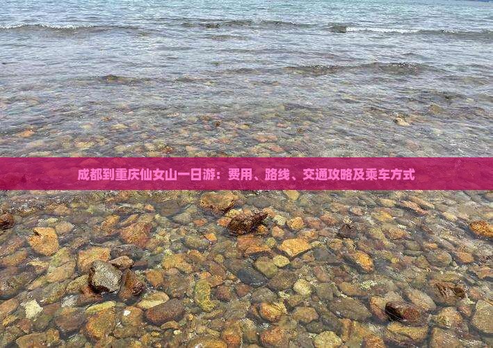 成都到重庆仙女山一日游：费用、路线、交通攻略及乘车方式