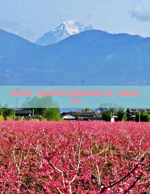 惠州出发，探寻重庆龙水峡地缝的秘境之旅，你准备好了吗？