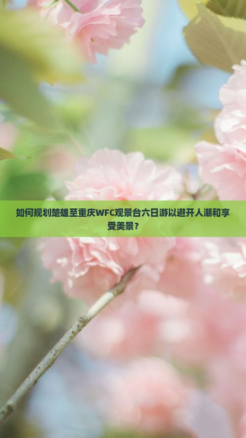 如何规划楚雄至重庆WFC观景台六日游以避开人潮和享受美景？