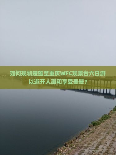 如何规划楚雄至重庆WFC观景台六日游以避开人潮和享受美景？