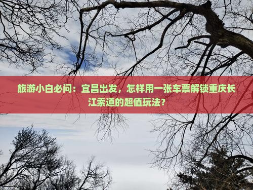 旅游小白必问：宜昌出发，怎样用一张车票解锁重庆长江索道的超值玩法？