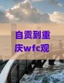 自贡到重庆wfc观景台四日游费用及路线攻略