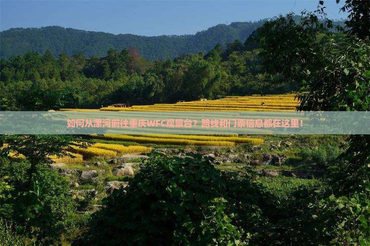 如何从漯河前往重庆WFC观景台？路线和门票信息都在这里！