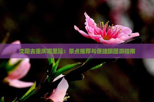 沈阳去重庆哪里玩：景点推荐与便捷跟团游指南