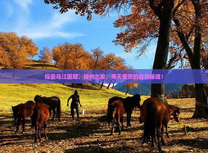 探索乌江画廊，锦州出发，两天重庆的自然秘境！
