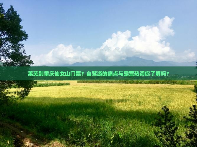 莱芜到重庆仙女山门票？自驾游的痛点与露营热词你了解吗？