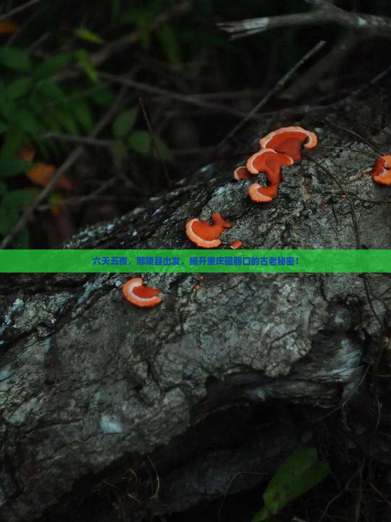 六天五夜，鄢陵县出发，揭开重庆磁器口的古老秘密！