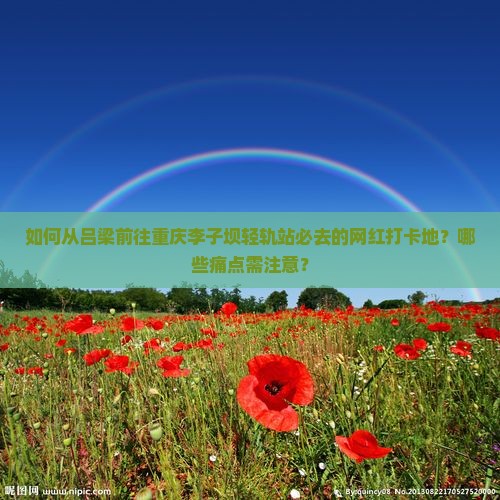 如何从吕梁前往重庆李子坝轻轨站必去的网红打卡地？哪些痛点需注意？