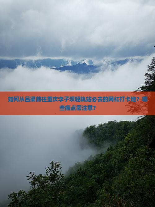 如何从吕梁前往重庆李子坝轻轨站必去的网红打卡地？哪些痛点需注意？