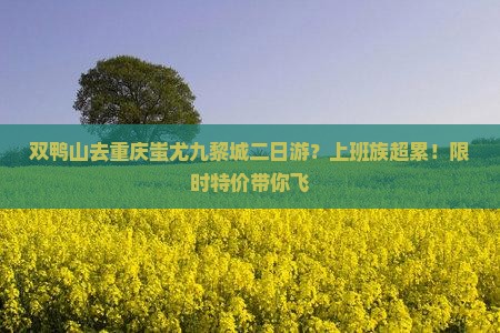 双鸭山去重庆蚩尤九黎城二日游？上班族超累！限时特价带你飞