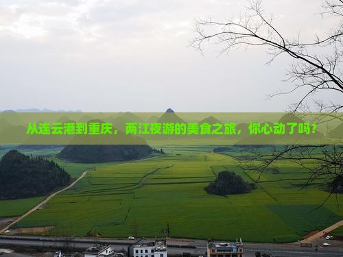 从连云港到重庆，两江夜游的美食之旅，你心动了吗？