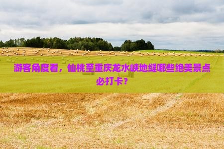 游客角度看，仙桃至重庆龙水峡地缝哪些绝美景点必打卡？