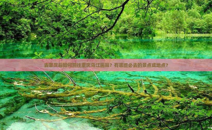 去肇庆后如何前往重庆乌江画廊？有哪些必去的景点或地点？