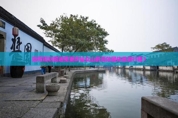 如何规划昭通至重庆仙女山的高效团体旅游行程？