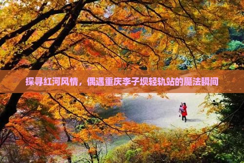 探寻红河风情，偶遇重庆李子坝轻轨站的魔法瞬间