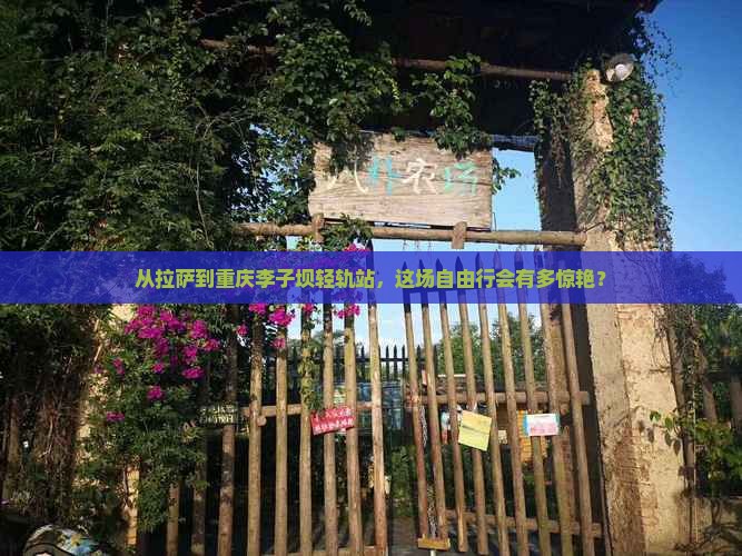 从拉萨到重庆李子坝轻轨站，这场自由行会有多惊艳？