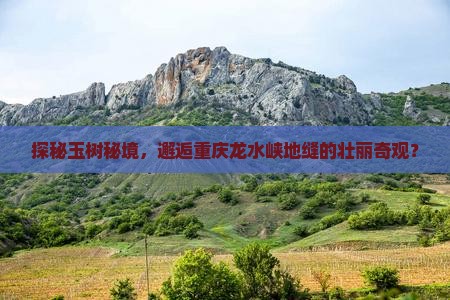 探秘玉树秘境，邂逅重庆龙水峡地缝的壮丽奇观？