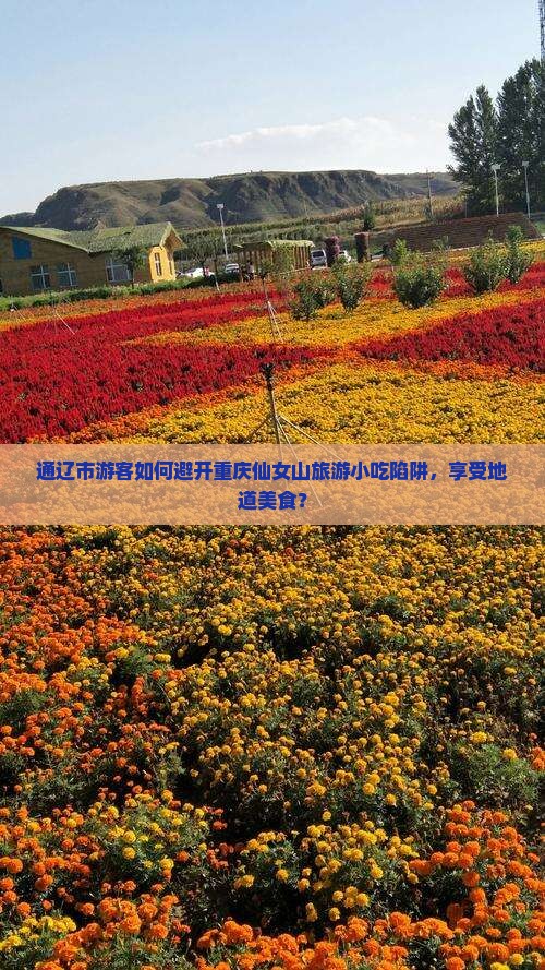 通辽市游客如何避开重庆仙女山旅游小吃陷阱，享受地道美食？