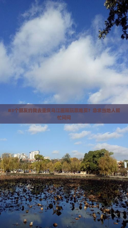 #3个朋友约我去重庆乌江画廊玩票难买？急求当地人帮忙问问