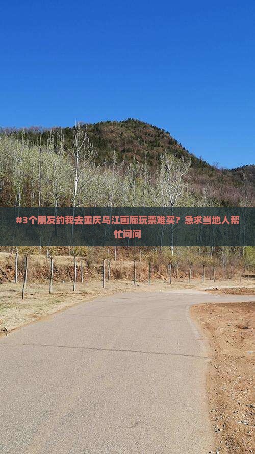 #3个朋友约我去重庆乌江画廊玩票难买？急求当地人帮忙问问