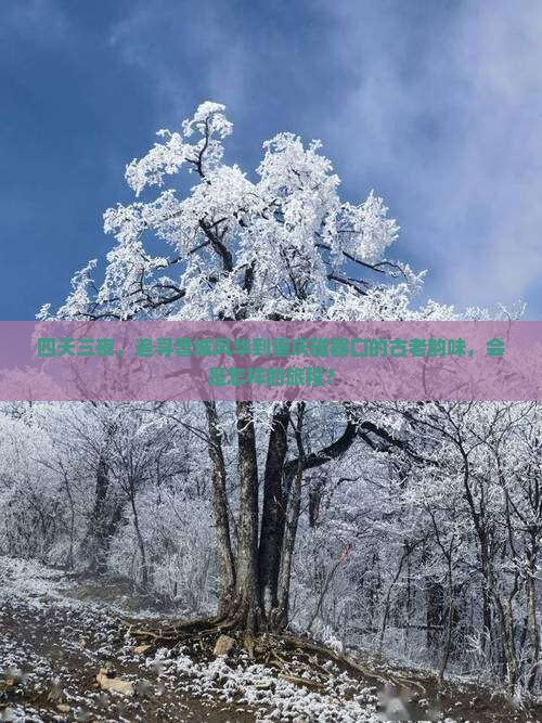 四天三夜，追寻晋城风华到重庆磁器口的古老韵味，会是怎样的旅程？