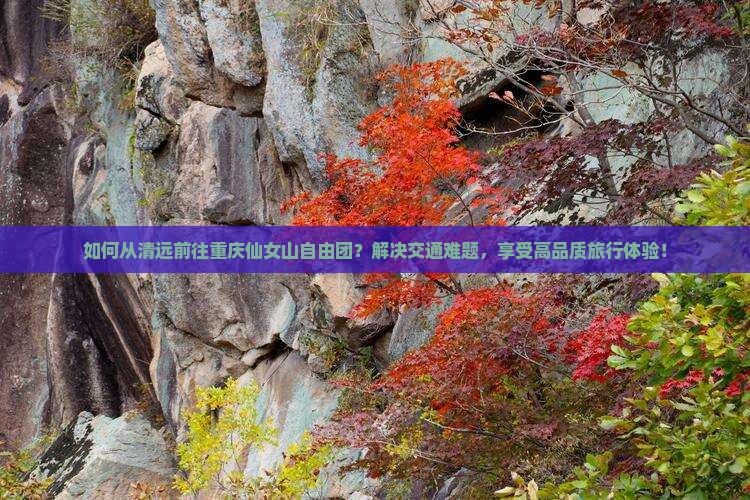 如何从清远前往重庆仙女山自由团？解决交通难题，享受高品质旅行体验！