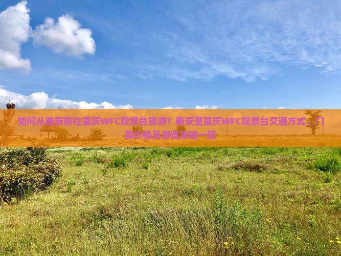 如何从雅安前往重庆WFC观景台旅游？雅安至重庆WFC观景台交通方式、门票价格及游览攻略一览