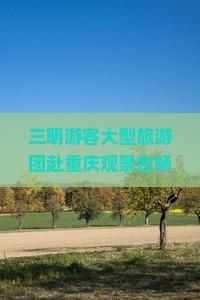 三明游客大型旅游团赴重庆观景台畅游重庆旅游胜景
