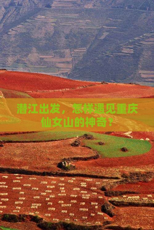 潜江出发，怎样遇见重庆仙女山的神奇？