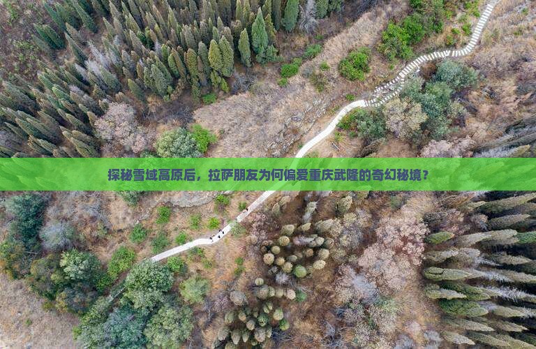 探秘雪域高原后，拉萨朋友为何偏爱重庆武隆的奇幻秘境？