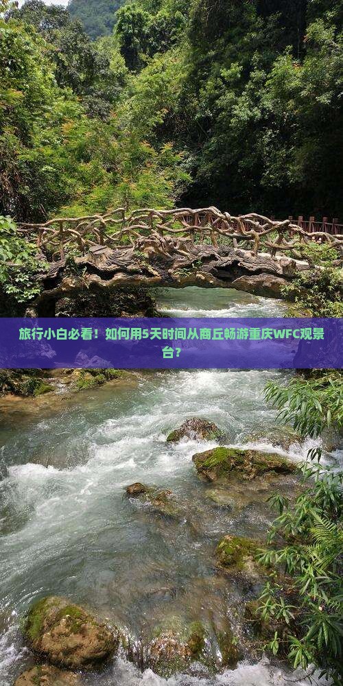旅行小白必看！如何用5天时间从商丘畅游重庆WFC观景台？