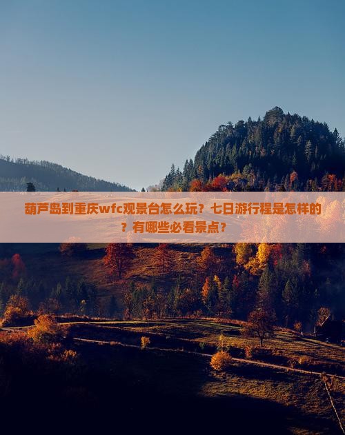 葫芦岛到重庆wfc观景台怎么玩？七日游行程是怎样的？有哪些必看景点？