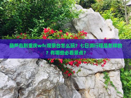 葫芦岛到重庆wfc观景台怎么玩？七日游行程是怎样的？有哪些必看景点？