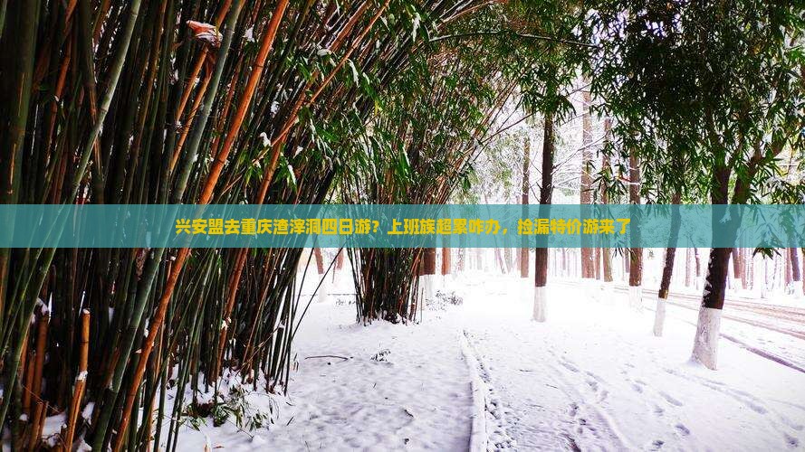 兴安盟去重庆渣滓洞四日游？上班族超累咋办，捡漏特价游来了