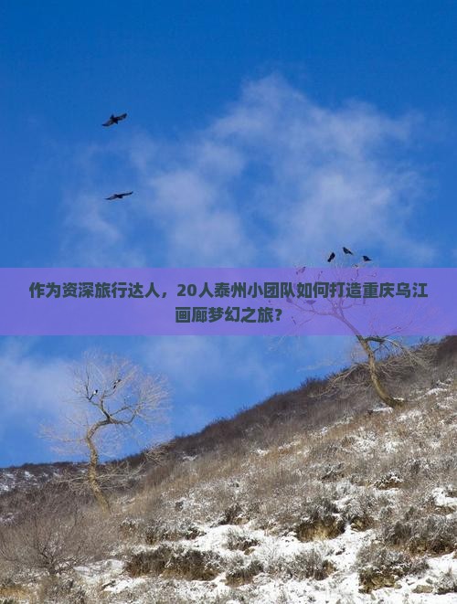 作为资深旅行达人，20人泰州小团队如何打造重庆乌江画廊梦幻之旅？
