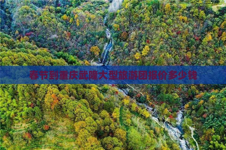 春节到重庆武隆大型旅游团报价多少钱