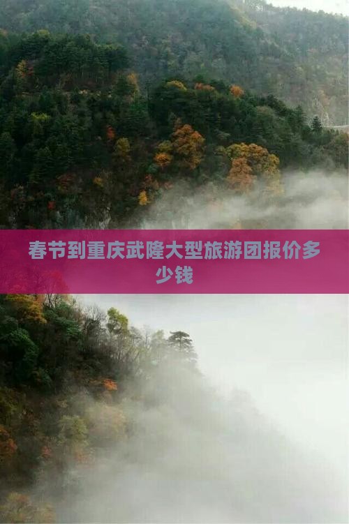 春节到重庆武隆大型旅游团报价多少钱