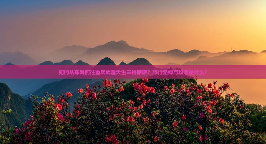 如何从珠海前往重庆武隆天生三桥旅游？旅行路线与攻略是什么？