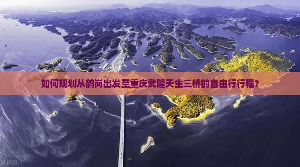 如何规划从鹤岗出发至重庆武隆天生三桥的自由行行程？