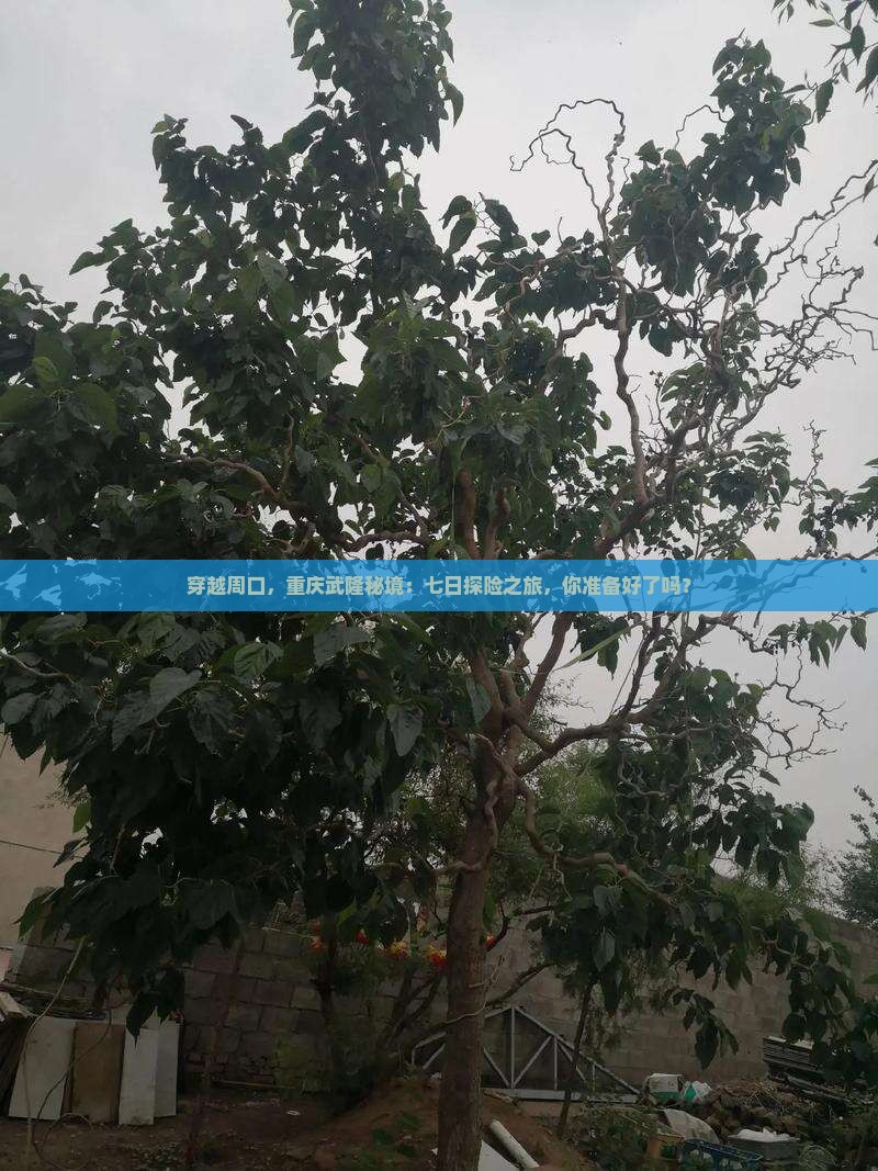 穿越周口，重庆武隆秘境：七日探险之旅，你准备好了吗？