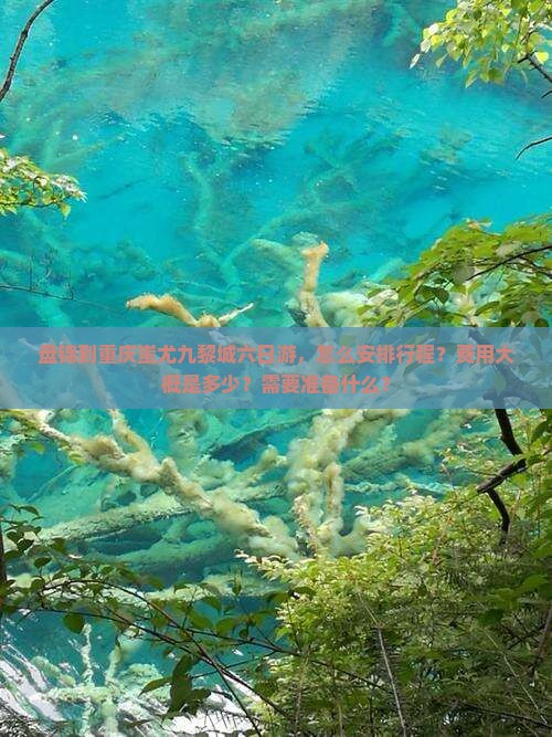 盘锦到重庆蚩尤九黎城六日游，怎么安排行程？费用大概是多少？需要准备什么？