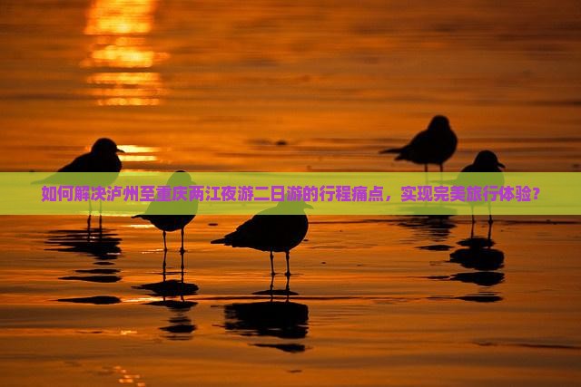 如何解决泸州至重庆两江夜游二日游的行程痛点，实现完美旅行体验？