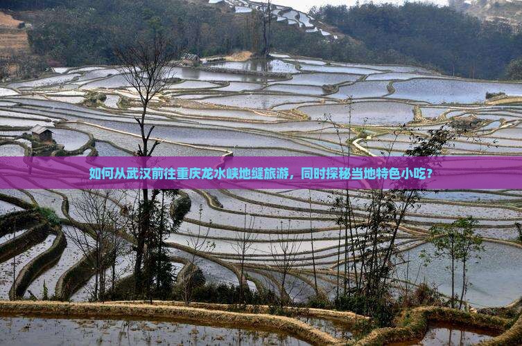 如何从武汉前往重庆龙水峡地缝旅游，同时探秘当地特色小吃？