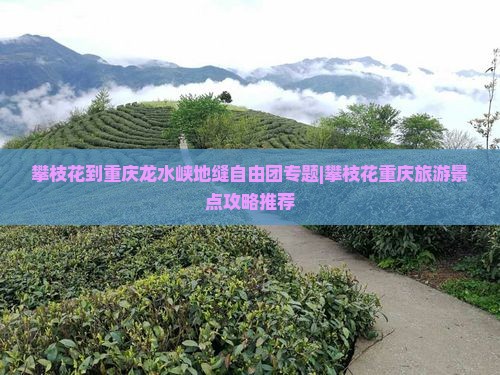 攀枝花到重庆龙水峡地缝自由团专题|攀枝花重庆旅游景点攻略推荐