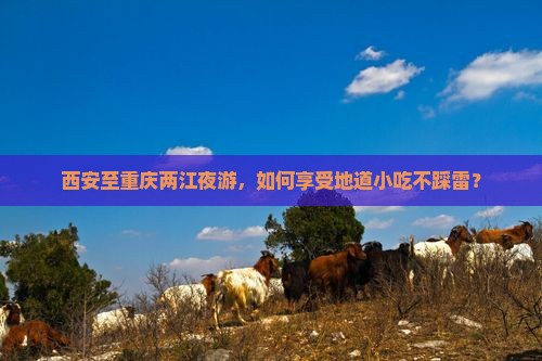 西安至重庆两江夜游，如何享受地道小吃不踩雷？