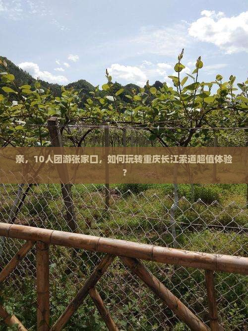 亲，10人团游张家口，如何玩转重庆长江索道超值体验？